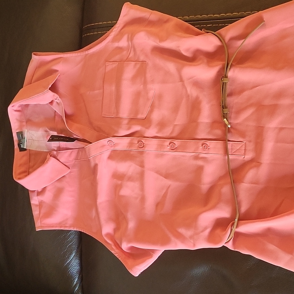 The Limited Dress